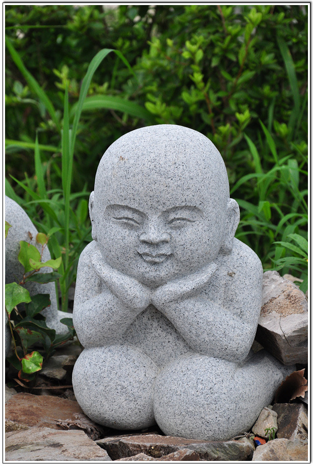 ũ 