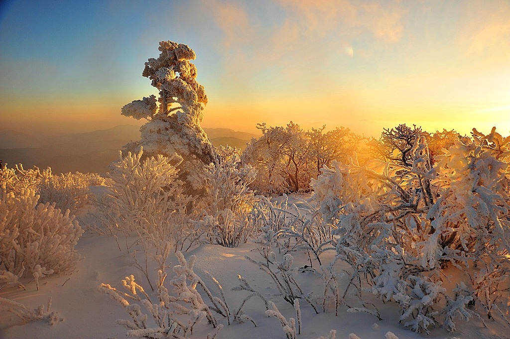 ½ÇÁ¦Å©±â·Î º¸±â