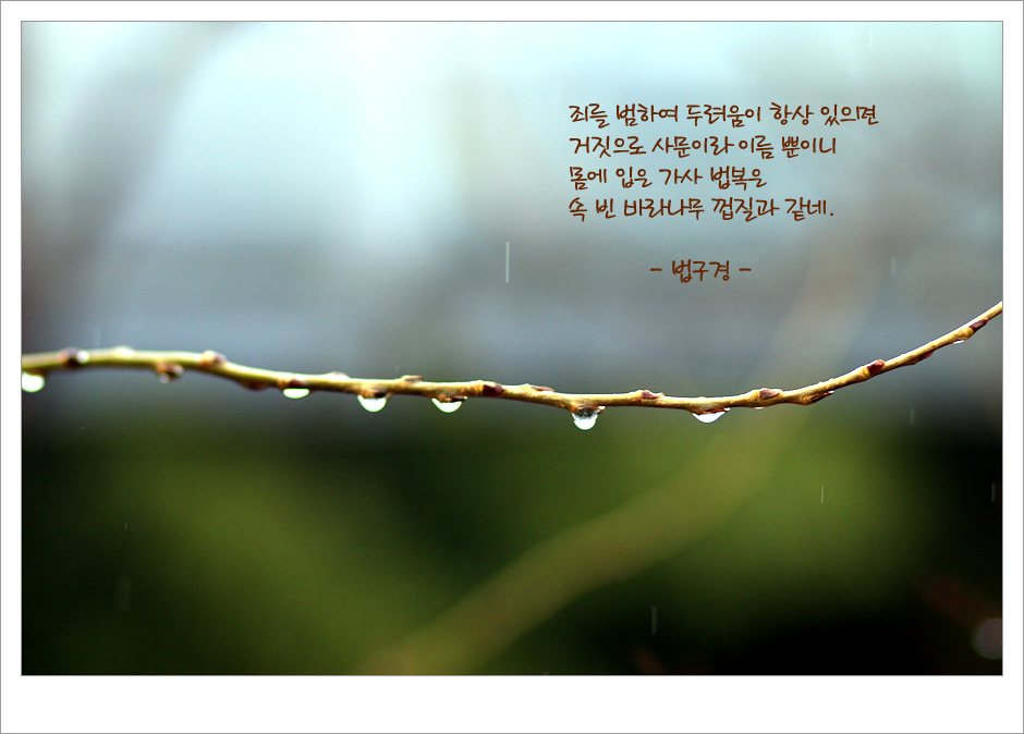 ½ÇÁ¦Å©±â·Î º¸±â