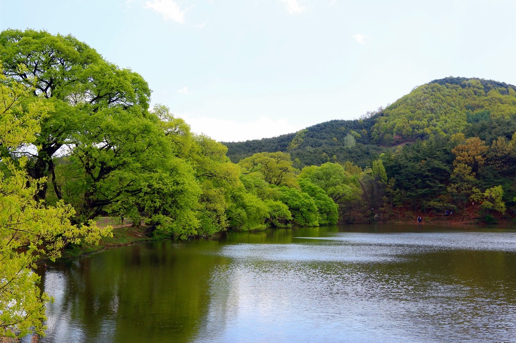 ½ÇÁ¦Å©±â·Î º¸±â