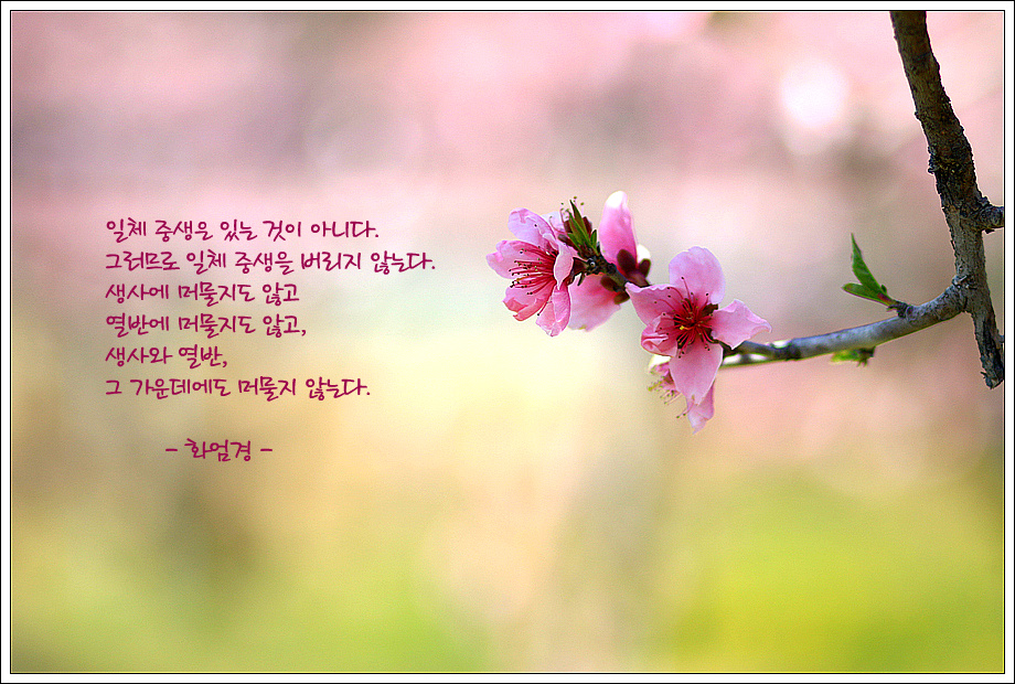 ½ÇÁ¦Å©±â·Î º¸±â