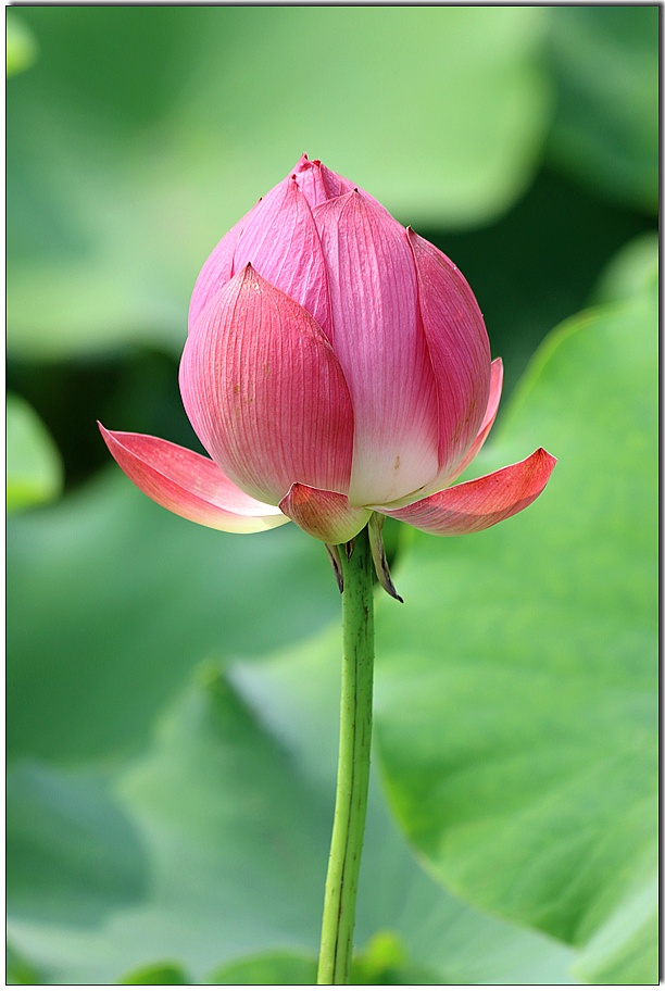 ½ÇÁ¦Å©±â·Î º¸±â