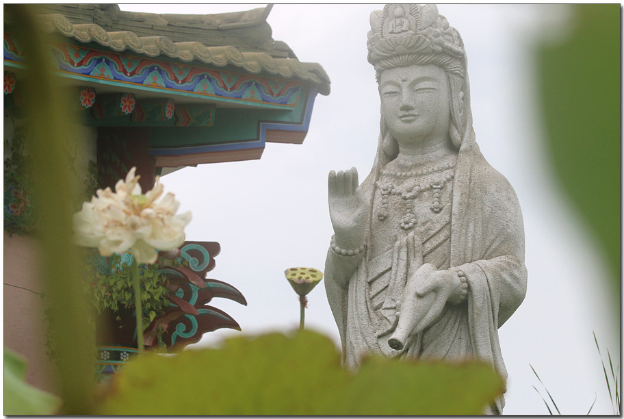 ½ÇÁ¦Å©±â·Î º¸±â