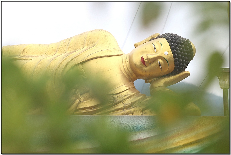 ½ÇÁ¦Å©±â·Î º¸±â