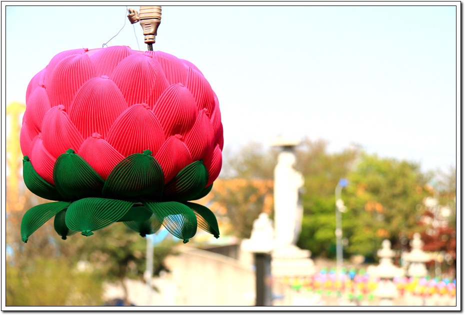 ½ÇÁ¦Å©±â·Î º¸±â