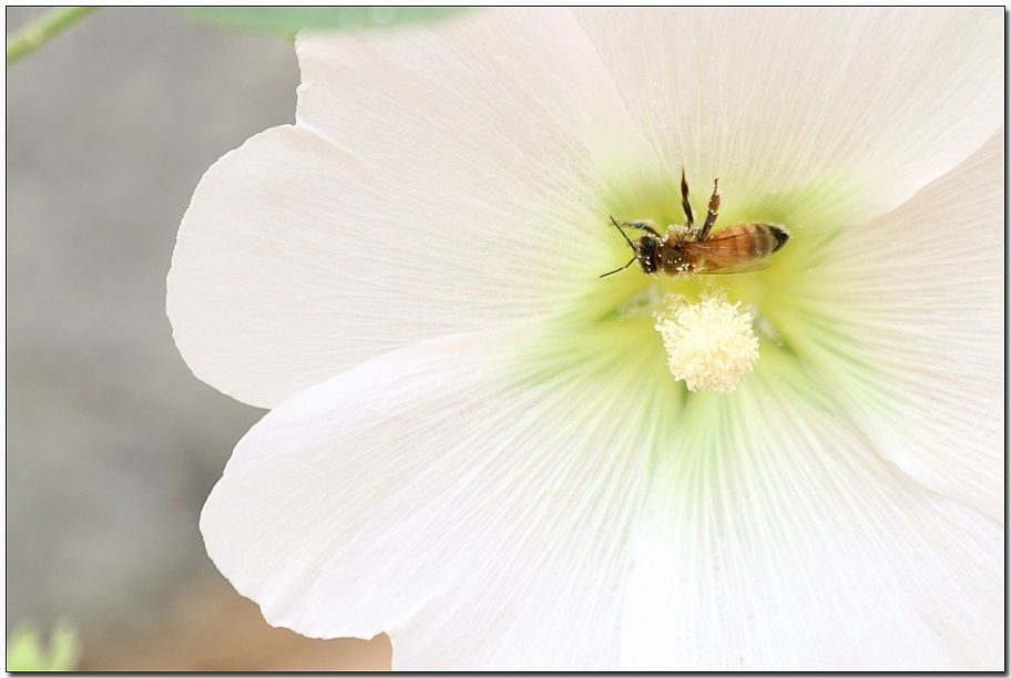 ½ÇÁ¦Å©±â·Î º¸±â