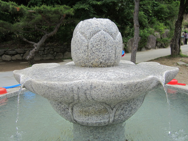 ũ 