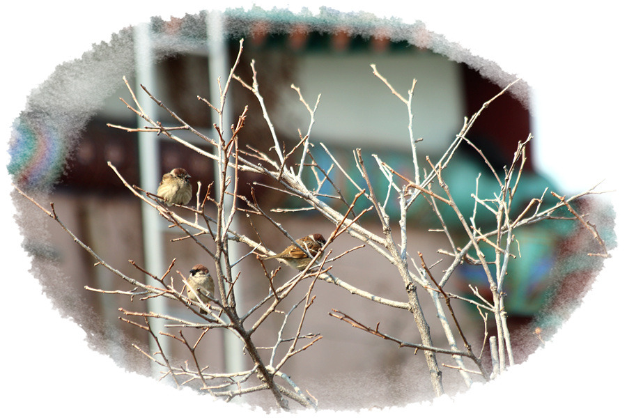 ½ÇÁ¦Å©±â·Î º¸±â