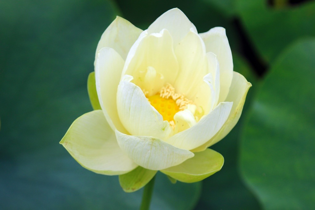 ½ÇÁ¦Å©±â·Î º¸±â