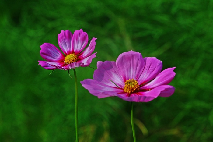 ½ÇÁ¦Å©±â·Î º¸±â