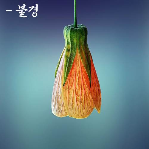 ½ÇÁ¦Å©±â·Î º¸±â