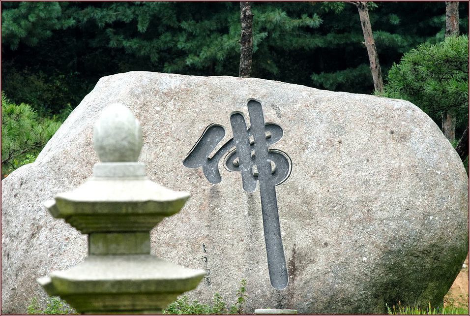 ũ 