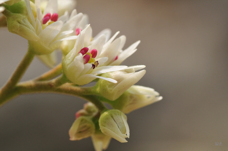 ½ÇÁ¦Å©±â·Î º¸±â