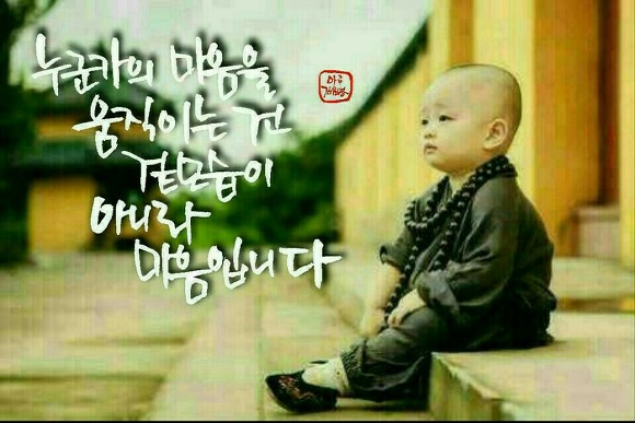 ½ÇÁ¦Å©±â·Î º¸±â