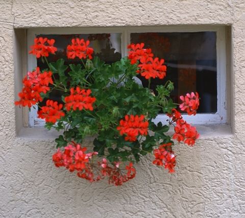 ½ÇÁ¦Å©±â·Î º¸±â