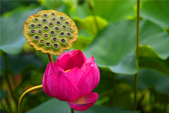 ½ÇÁ¦Å©±â·Î º¸±â