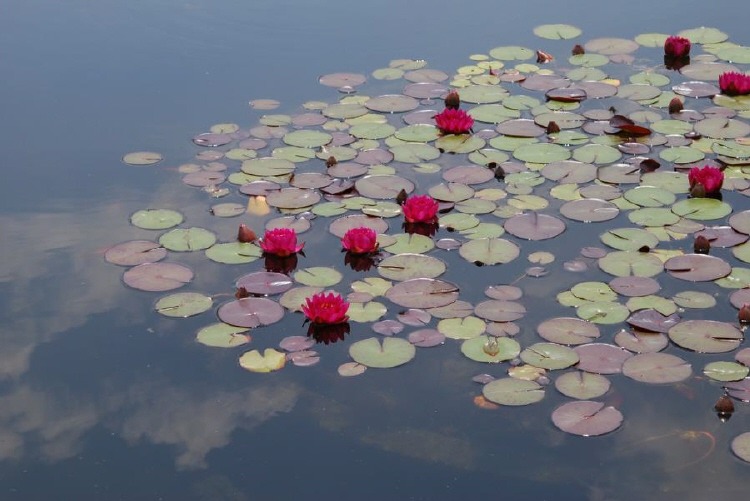 ½ÇÁ¦Å©±â·Î º¸±â