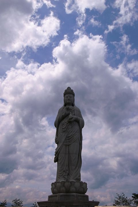 ũ 
