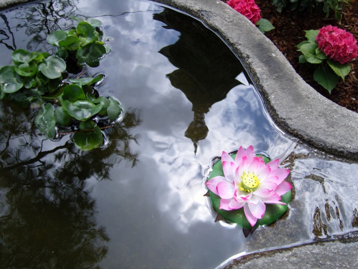 ½ÇÁ¦Å©±â·Î º¸±â