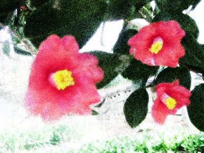 실제크기로 보기