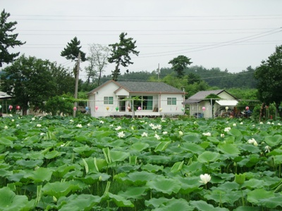 실제크기로 보기