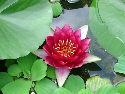 실제크기로 보기