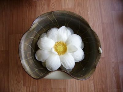 실제크기로 보기