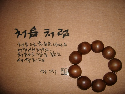 실제크기로 보기