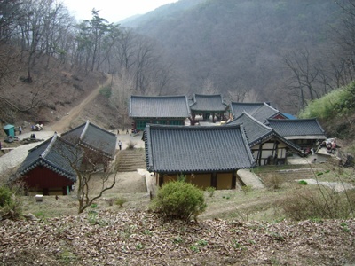 실제크기로 보기