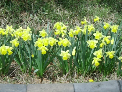 실제크기로 보기