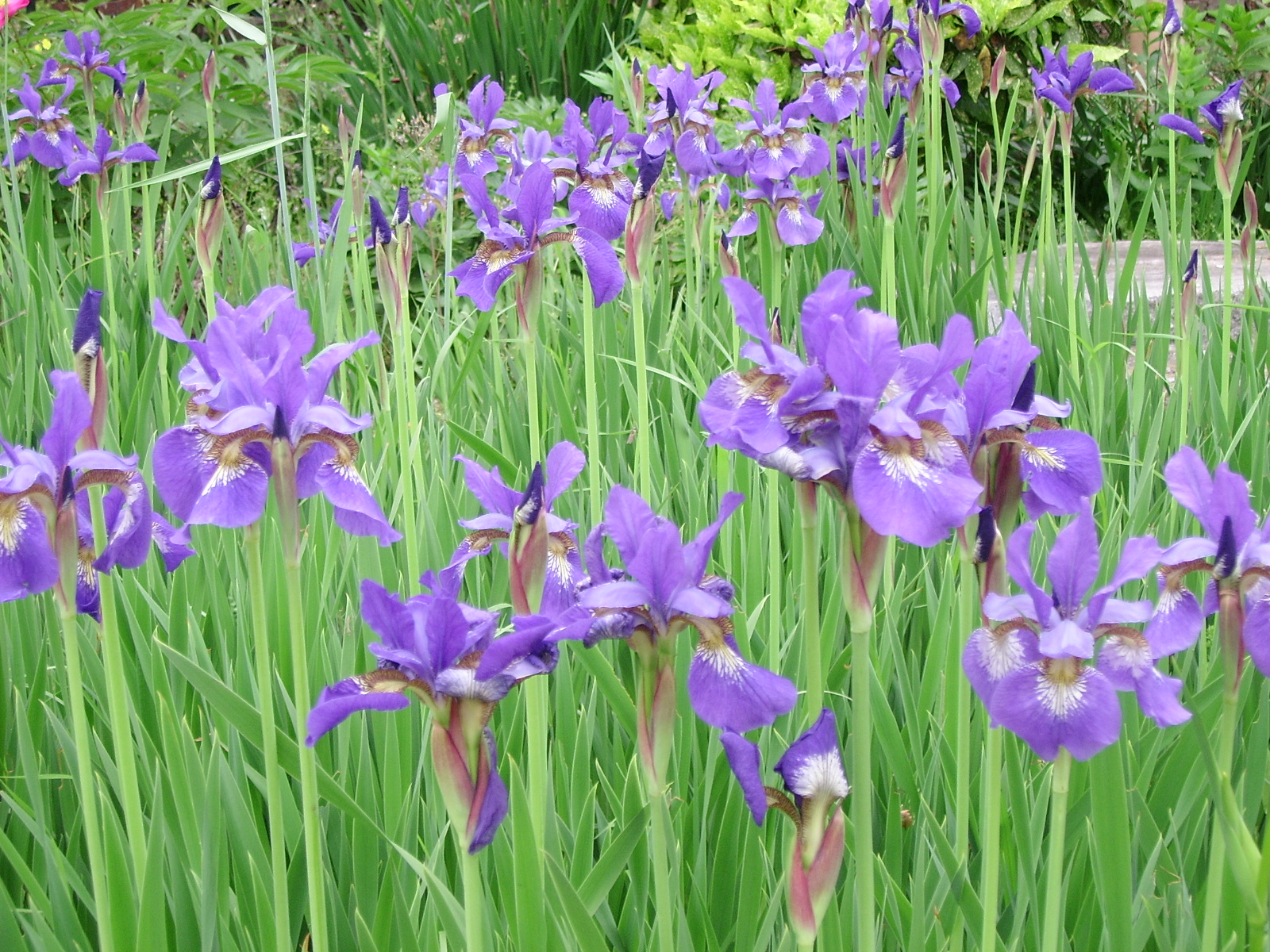 실제크기로 보기