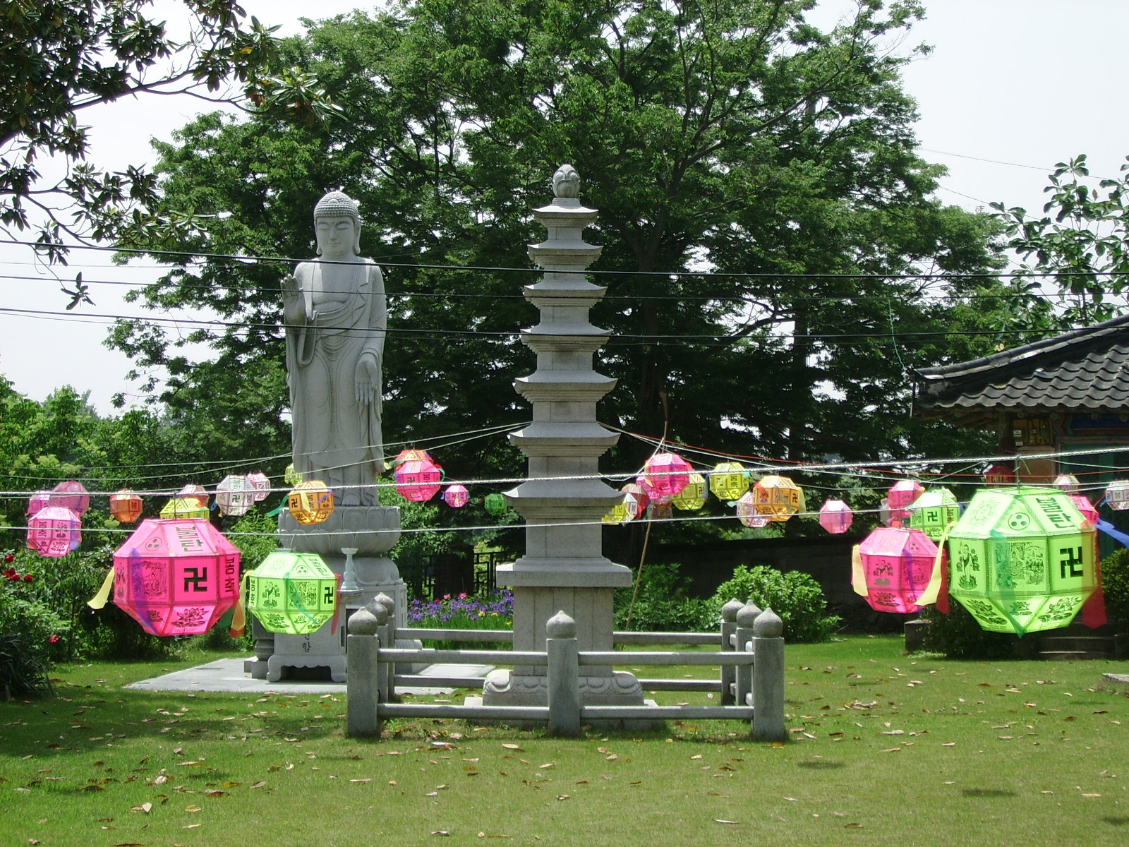 실제크기로 보기