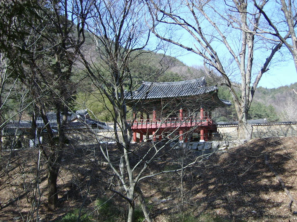 실제크기로 보기