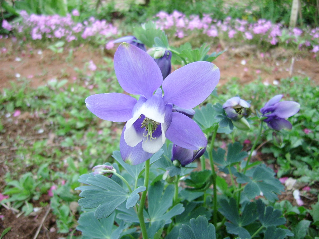 실제크기로 보기
