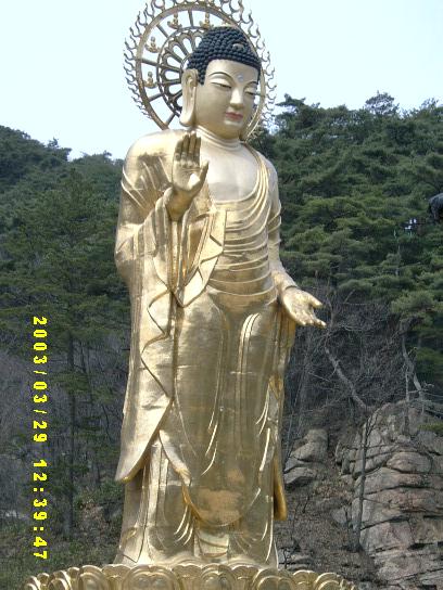 ũ 