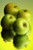 ũ 