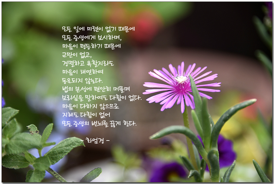 ½ÇÁ¦Å©±â·Î º¸±â