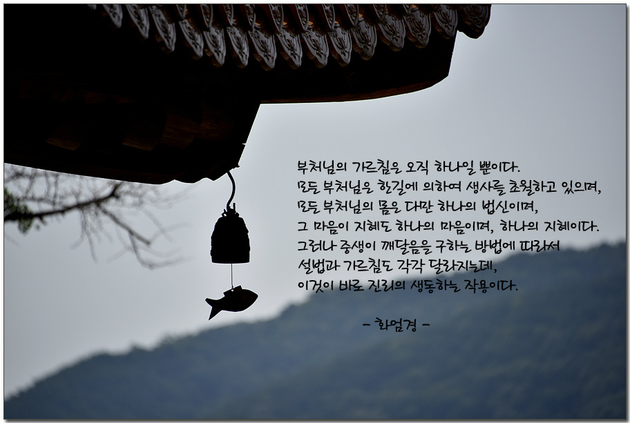 ½ÇÁ¦Å©±â·Î º¸±â