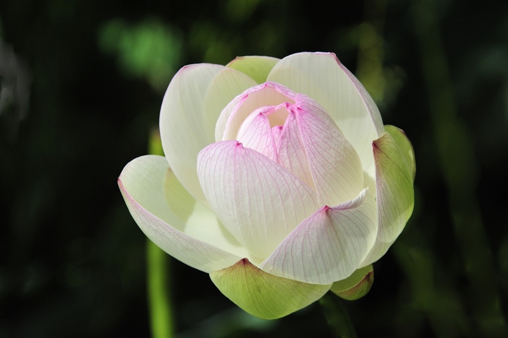 ½ÇÁ¦Å©±â·Î º¸±â