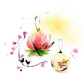 ½ÇÁ¦Å©±â·Î º¸±â