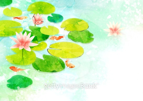 ½ÇÁ¦Å©±â·Î º¸±â