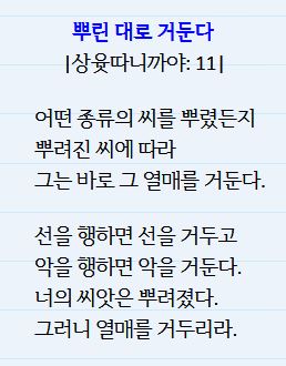 ½ÇÁ¦Å©±â·Î º¸±â