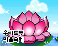 ũ 