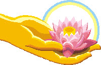 ũ 