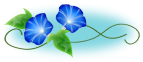 ũ 