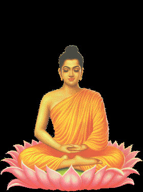 ũ 