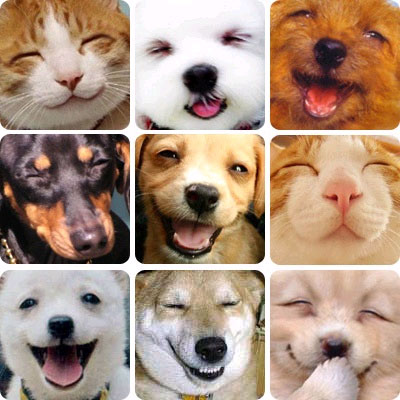 ũ 