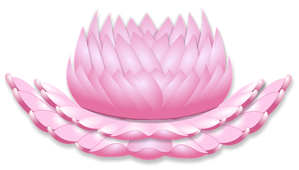 ½ÇÁ¦Å©±â·Î º¸±â