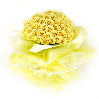 ũ 