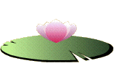 ũ 